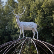 Backtonature_MARIO MERZ Senza titolo (Igloo di Oporto), 1998 (part.)  @ Simon d’Exéa