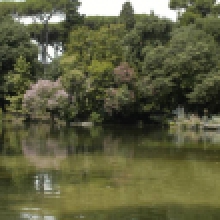 Giardino del lago