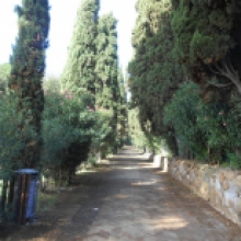 Villa Flora, il viale